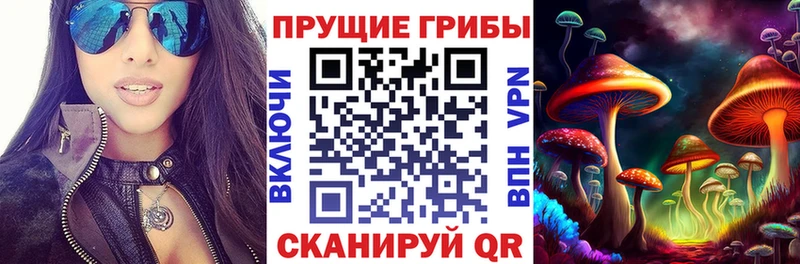 Купить закладки  Пустошка  Псилоцибиновые грибы Psilocybe 